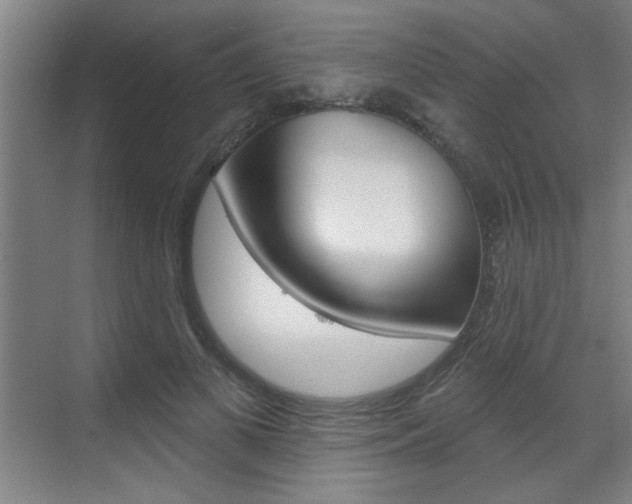 X0000070860693200606161011