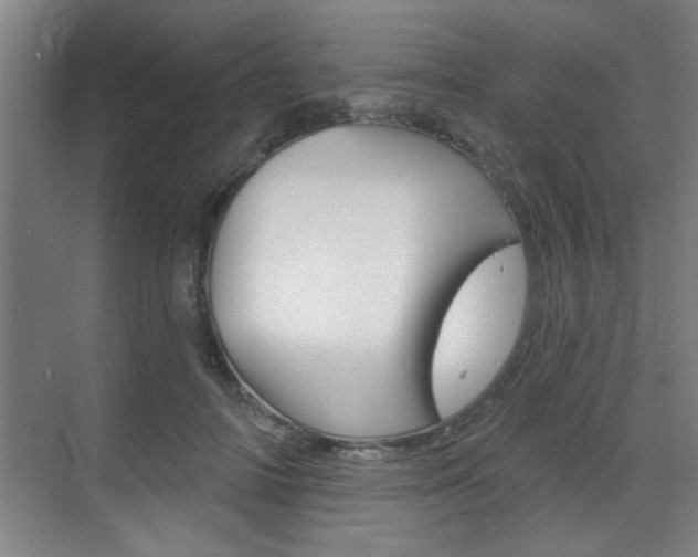 X0000070860698200606161011