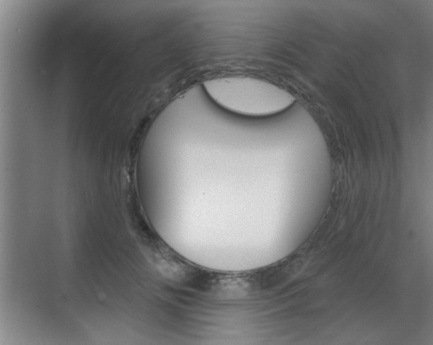 X0000070860702200606161011