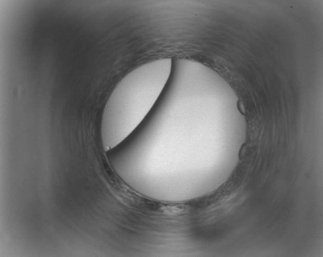 X0000070860703200606161011