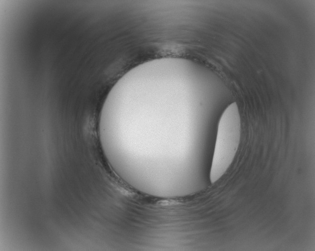 X0000070860714200606161010