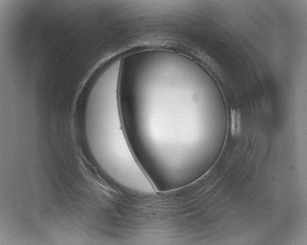 X0000070860723200606161010