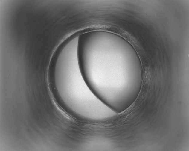 X0000070860726200606161010