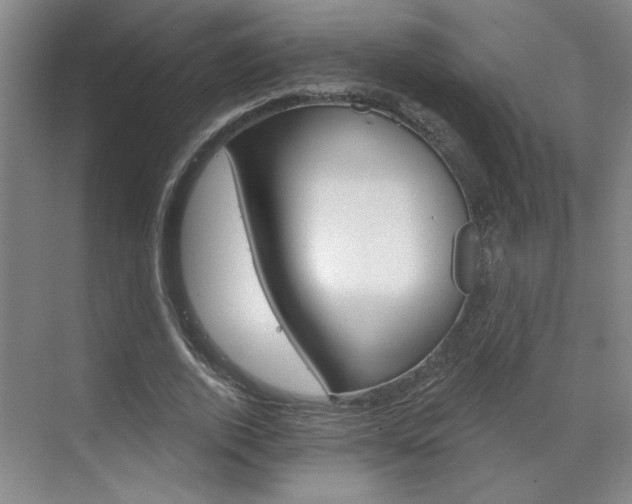 X0000070860728200606161010