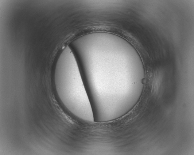 X0000070860729200606161010