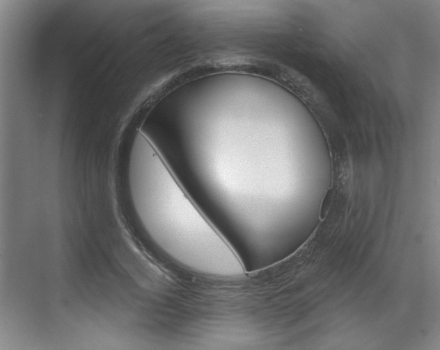 X0000070860732200606161010