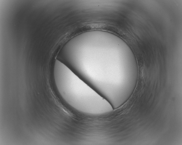 X0000070860733200606161010