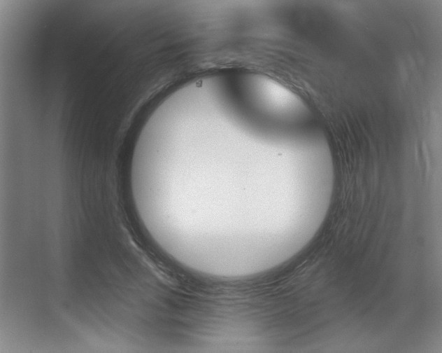 X0000070860735200606161010