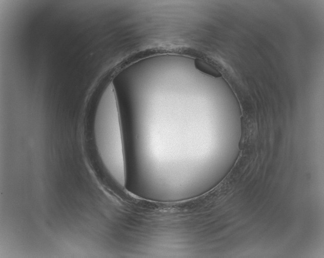 X0000070860736200606161010