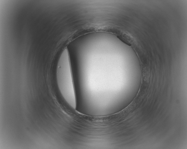 X0000070860740200606161010