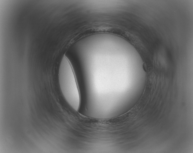 X0000070860743200606161010