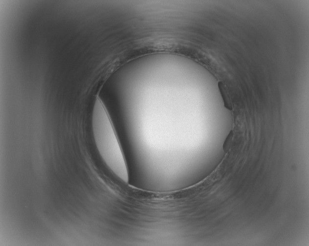 X0000070860744200606161010