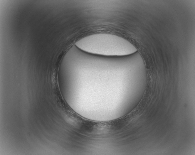 X0000070860745200606161010