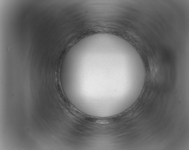 X0000070860749200606161010