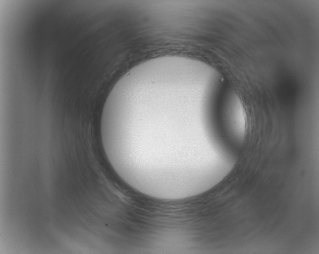X0000070860750200606161010