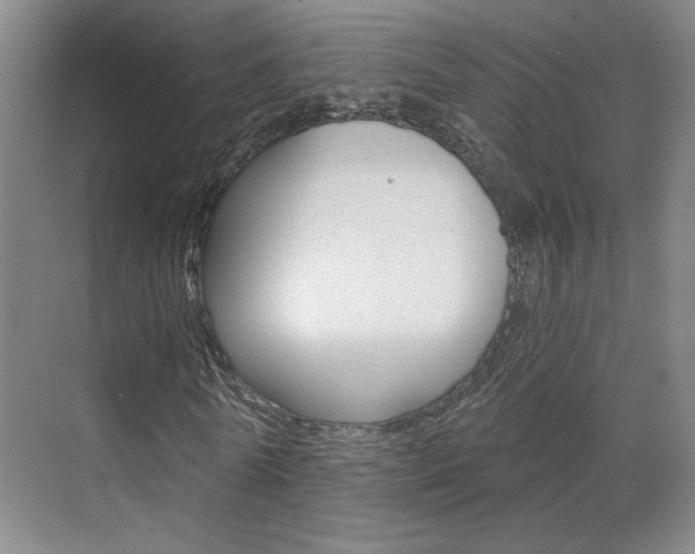 X0000070860770200606161009