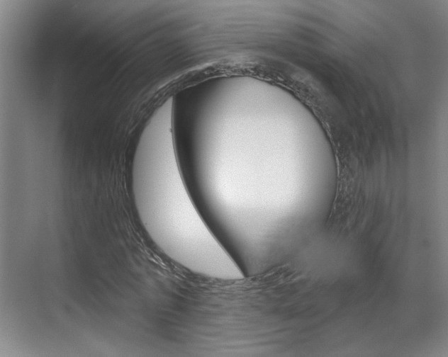 X0000070860773200606161009