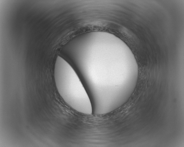 X0000070860774200606161009