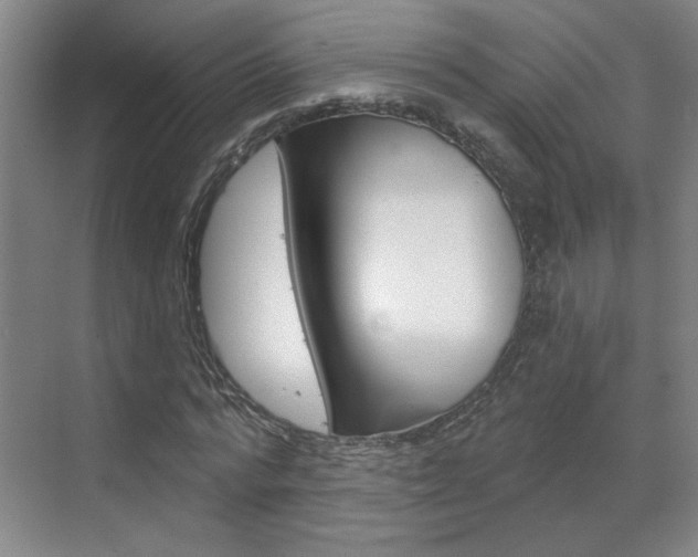 X0000070860776200606161009