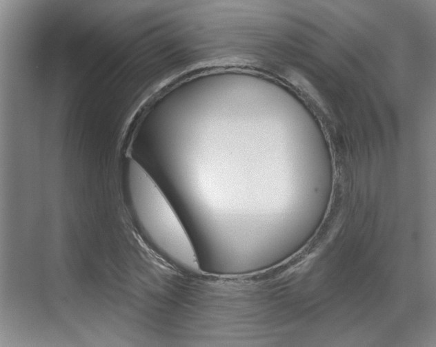 X0000070860781200606161009