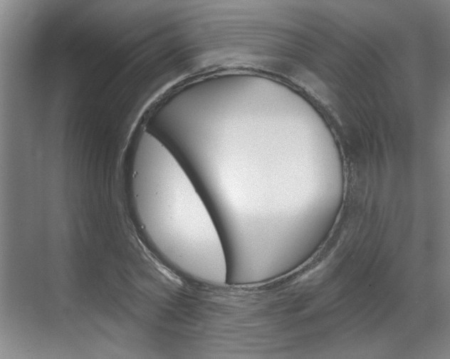 X0000070860782200606161009