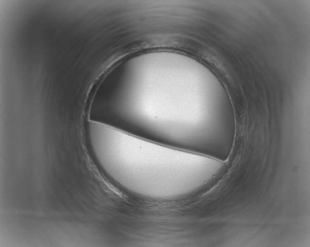 X0000070860786200606161009