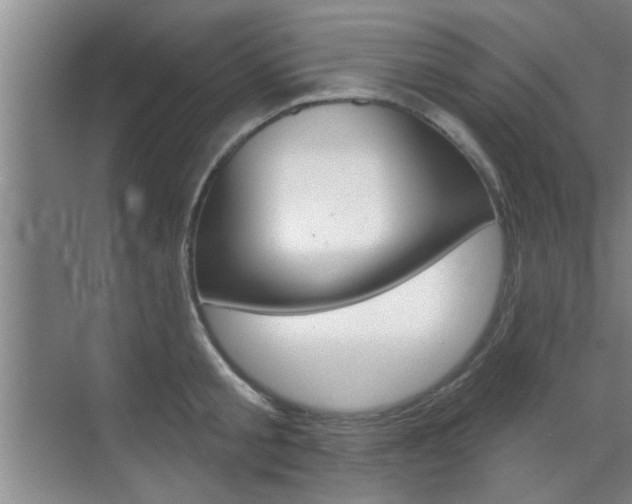 X0000070860805200606161009