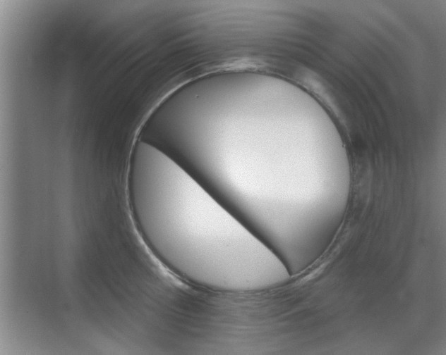 X0000070860810200606161009