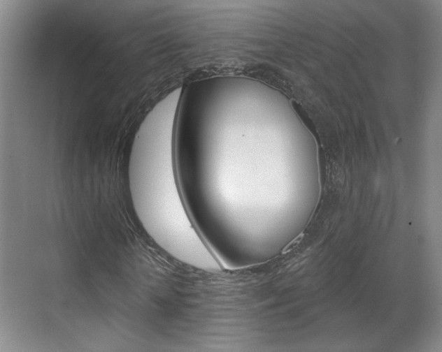 X0000070860818200606161008
