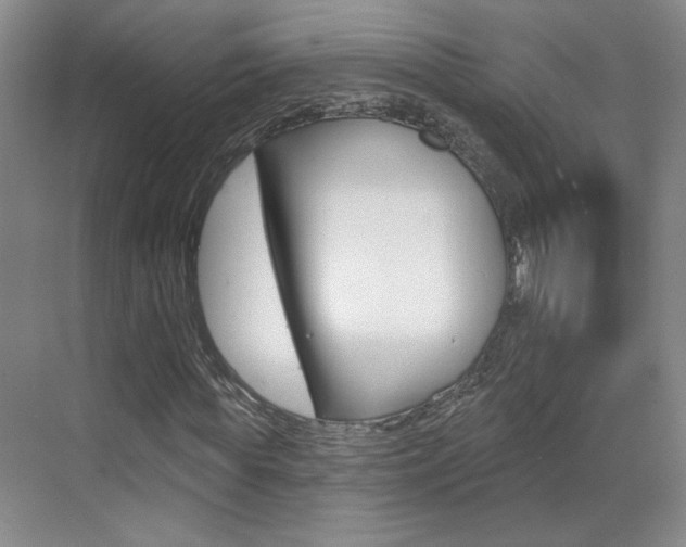 X0000070860819200606161008