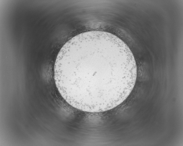 X0000070860820200606161008