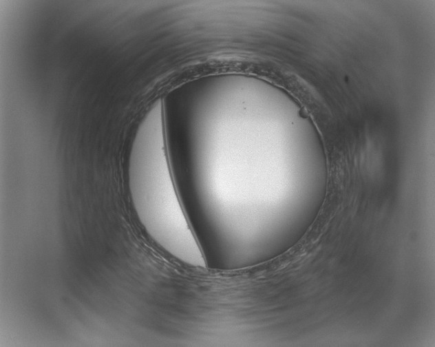 X0000070860821200606161008