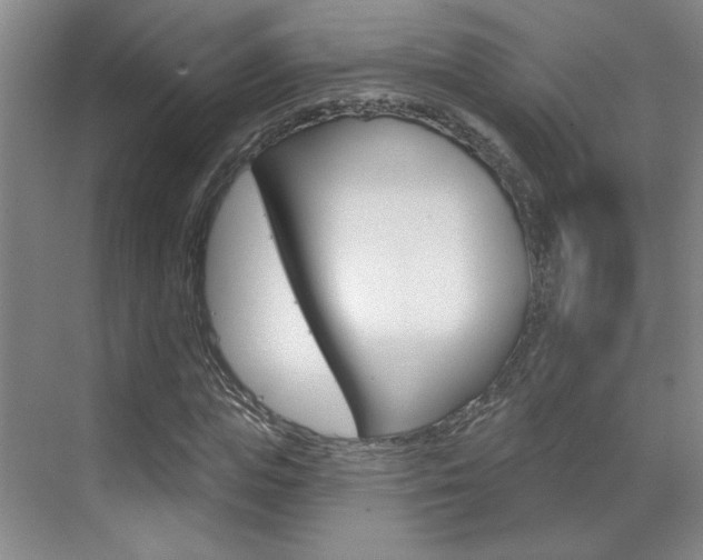 X0000070860823200606161008