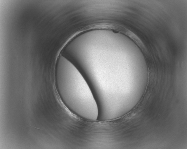 X0000070860852200606161008