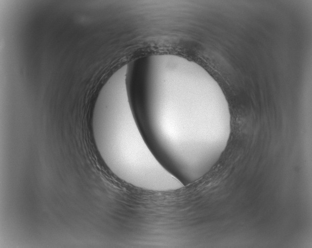 X0000070860865200606161008