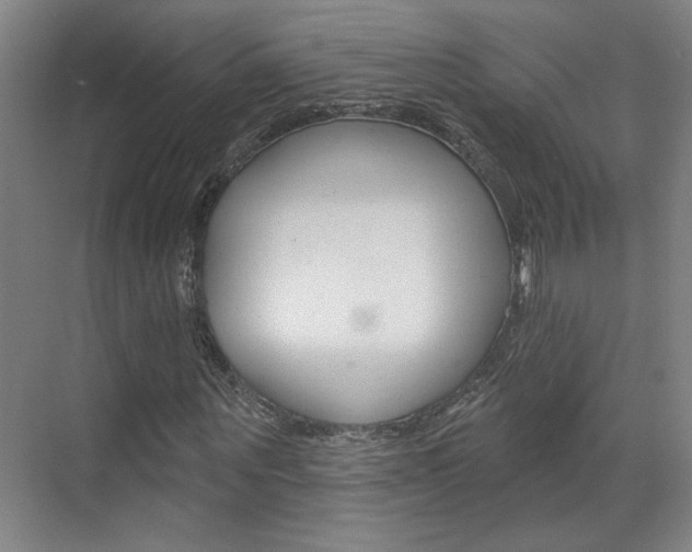 X0000070860867200606161008