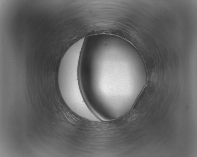 X0000070860868200606161008