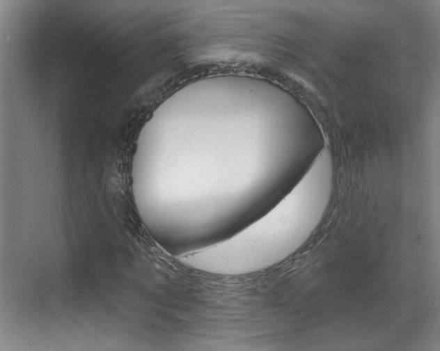 X0000070860869200606161008
