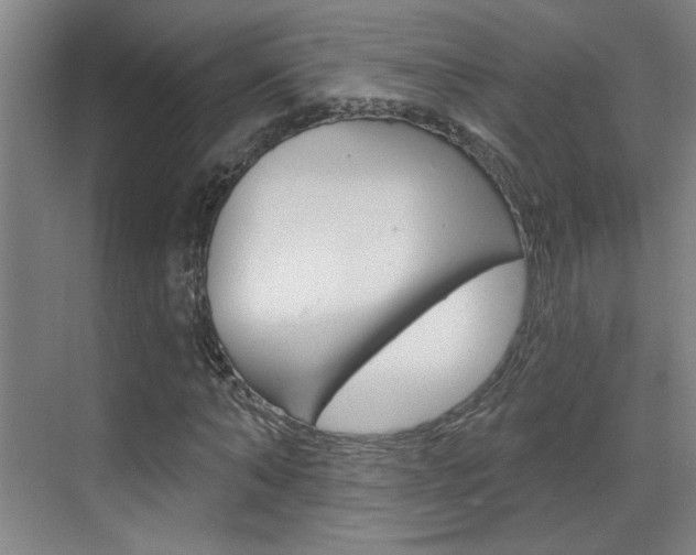 X0000070860870200606161008