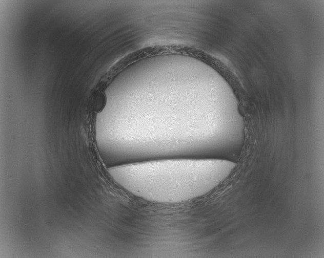 X0000070860871200606161008