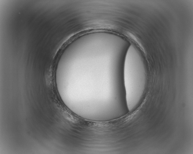 X0000070860875200606161008