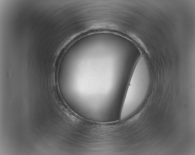 X0000070860877200606161008