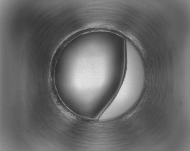 X0000070860880200606161008