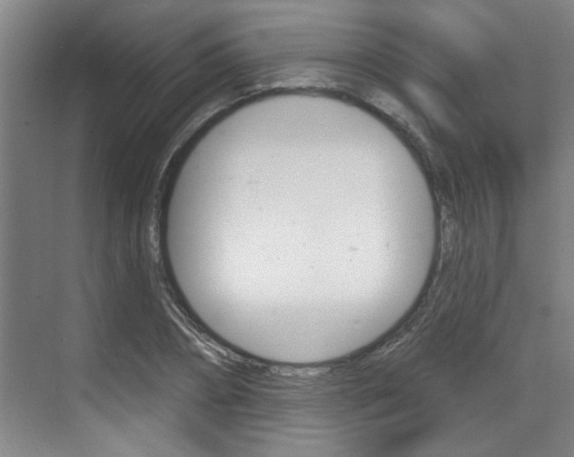 X0000070860882200606161008