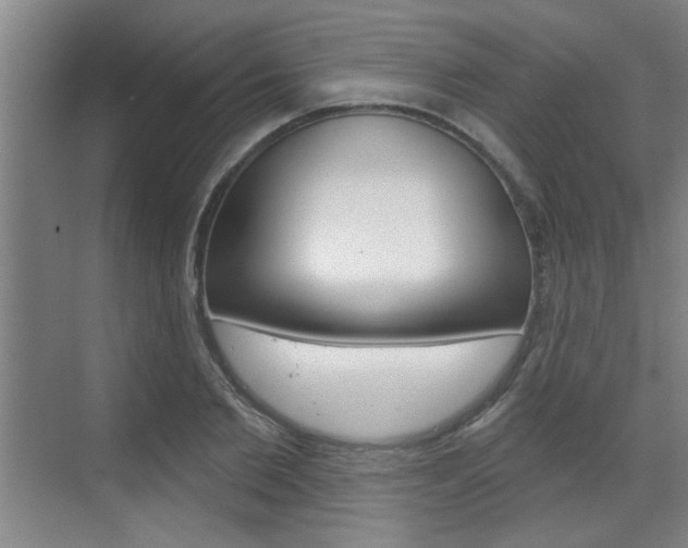 X0000070860885200606161008