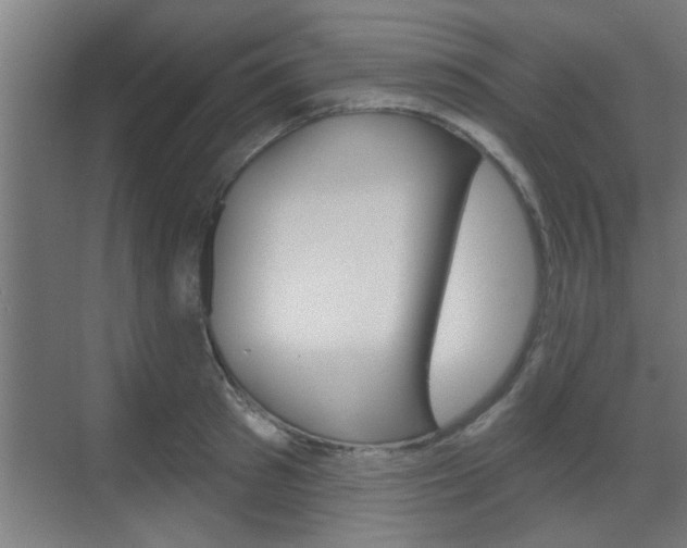 X0000070860897200606161007