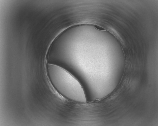X0000070860900200606161007