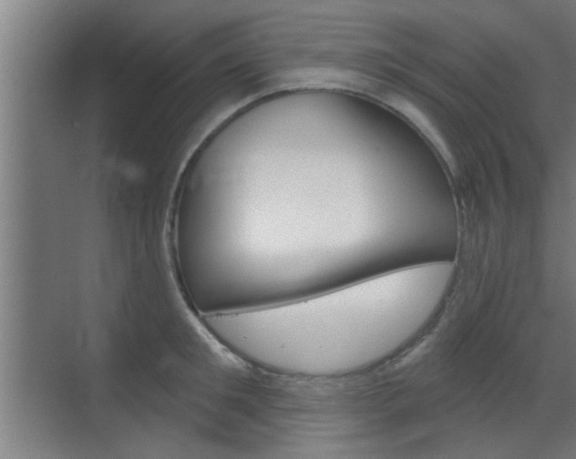 X0000070860901200606161007