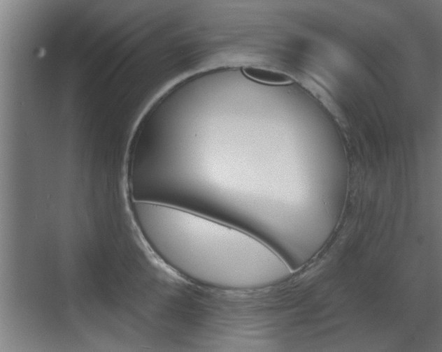 X0000070860904200606161007