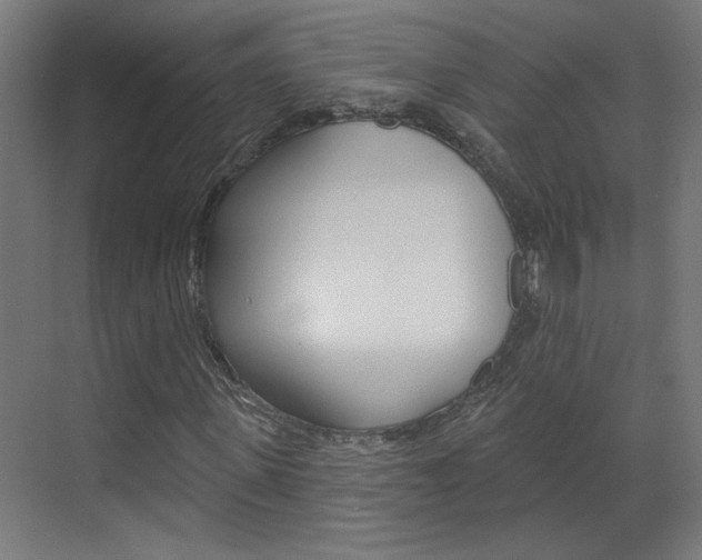 X0000070860915200606161006